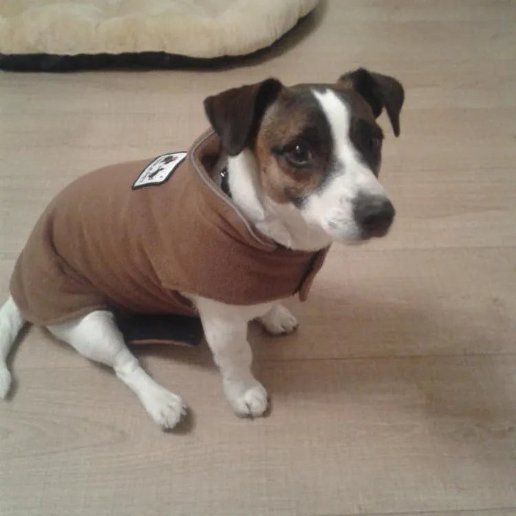 Thickened polar fleece double-sided dog vest in heather gray, autumn winter wear for pets