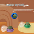 Plastic catnip ball toy for dental care in various colours with textured chewing surface