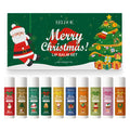 Christmas Limited Lip Balm Set with ten flavoured balms including Vanilla Blueberry Honey Coconut and Aloe