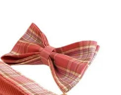 Plaid cloth dog collar and leash set with matching vest and decorative bow.