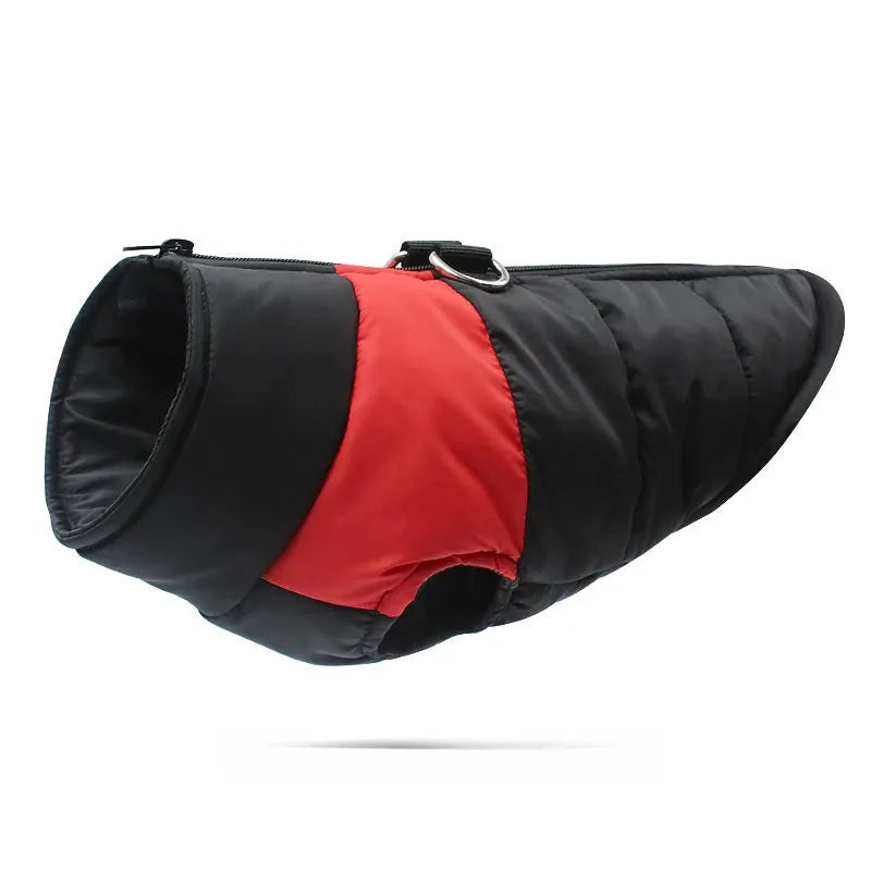 Waterproof padded dog jacket with front zipper in multiple colours for small to extra large dogs