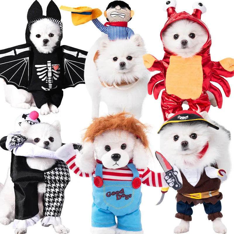 Halloween dog costume in various designs including bat suit and pumpkin pack themes