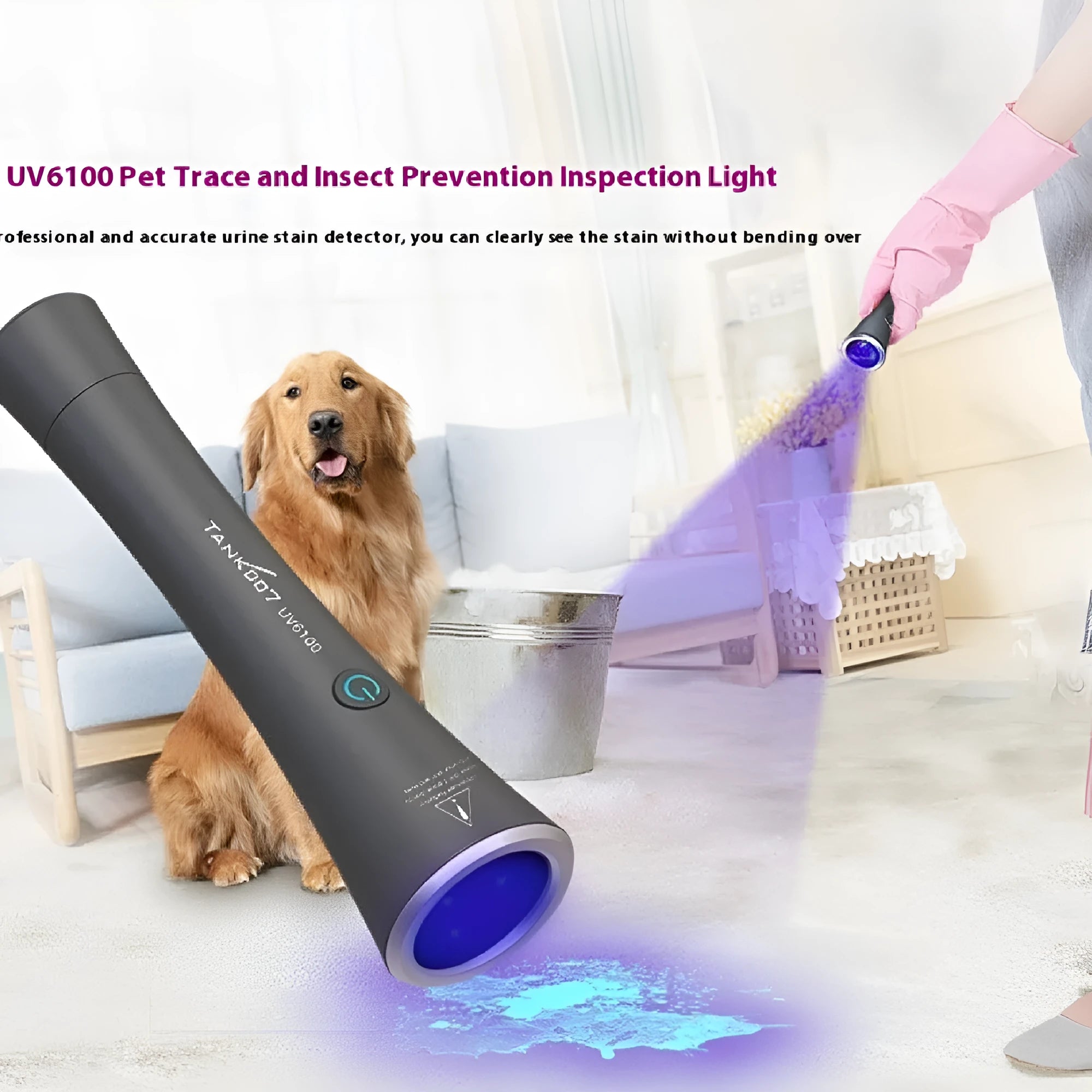Black anodised aluminium UV flashlight for detecting pet urine stains and insects.