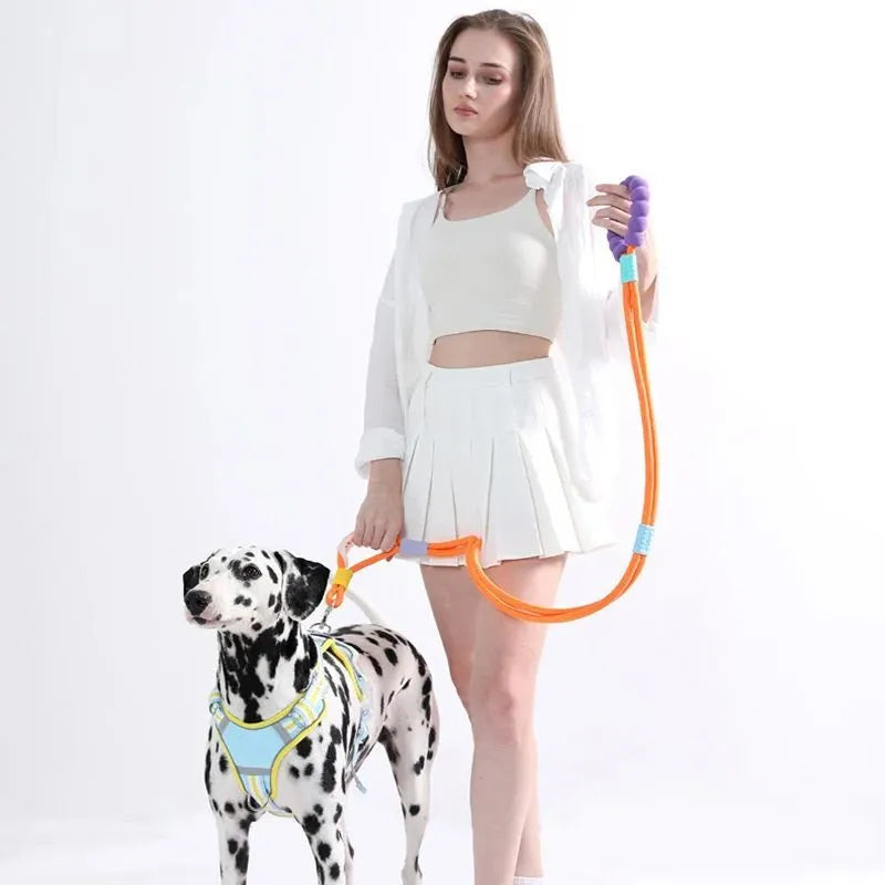 Nylon dog traction leash with foam handle showing colour options
