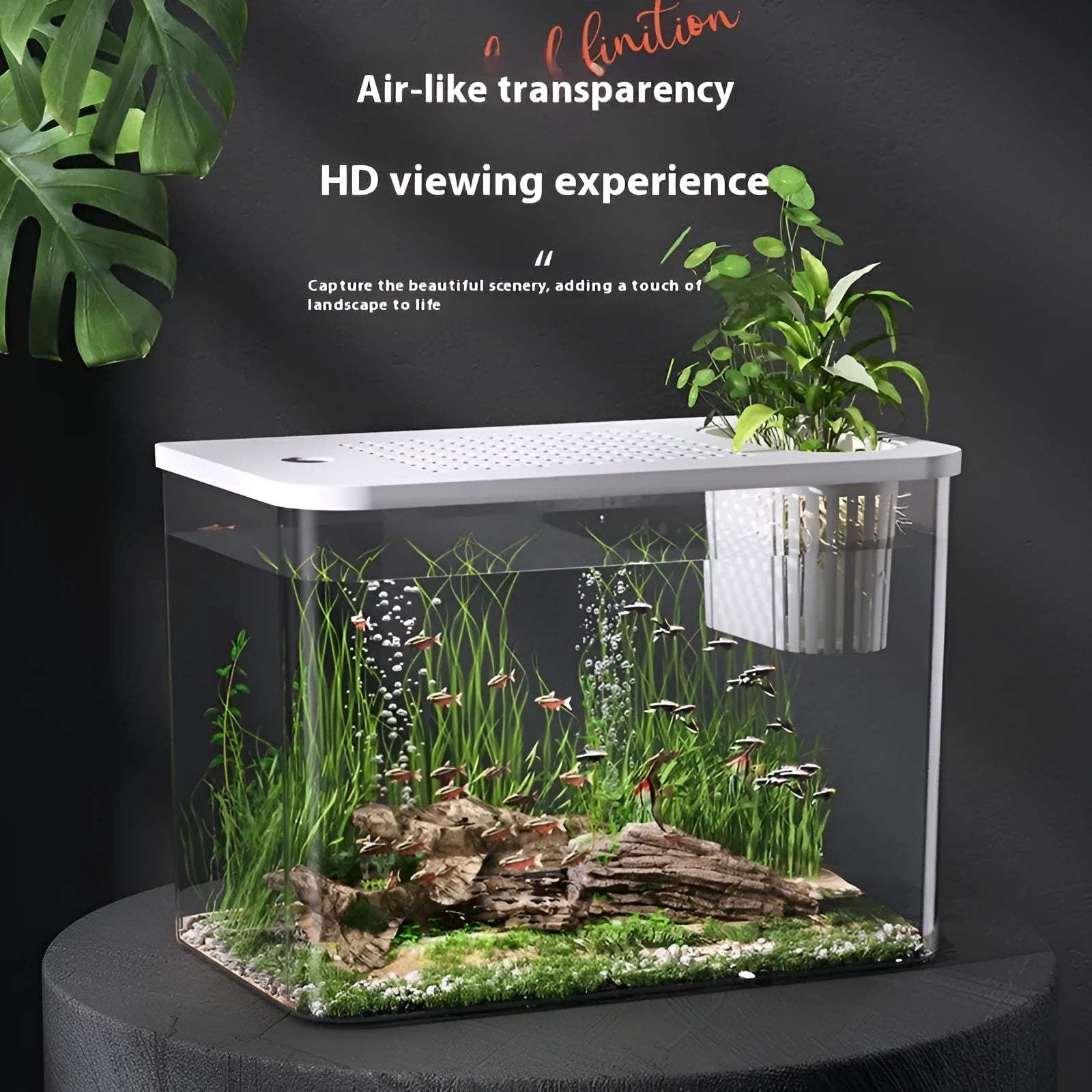 Compact black or white plastic Betta fish tank with a lid, dimensions 32cm wide by 23cm high.