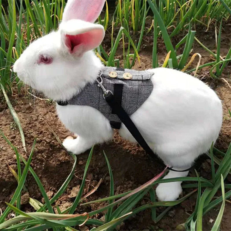Grey cloth rabbit chest harness and leash set for small pets
