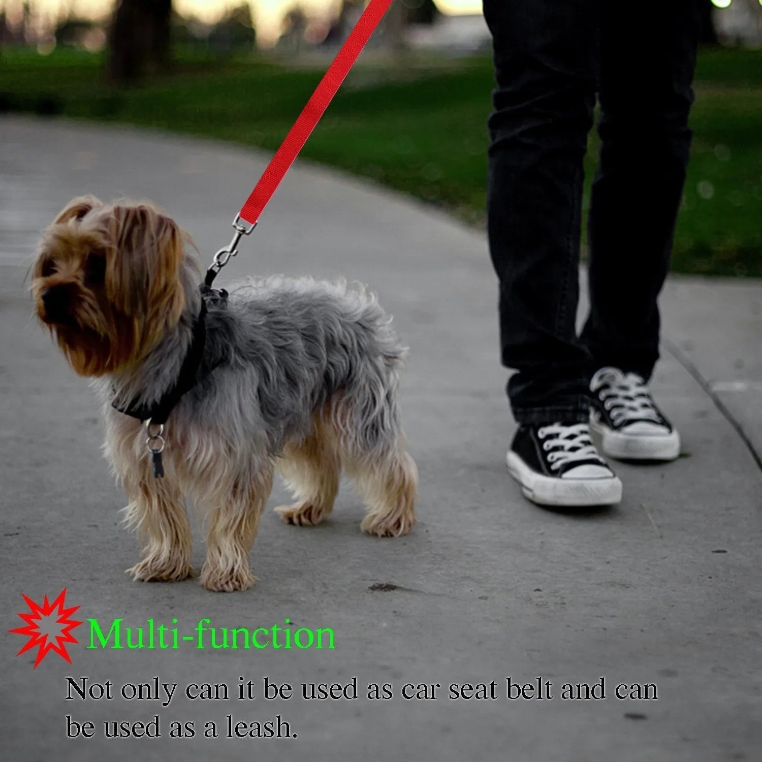 Pet safety leash made from nylon in expandable traction belt design, colour options include black
