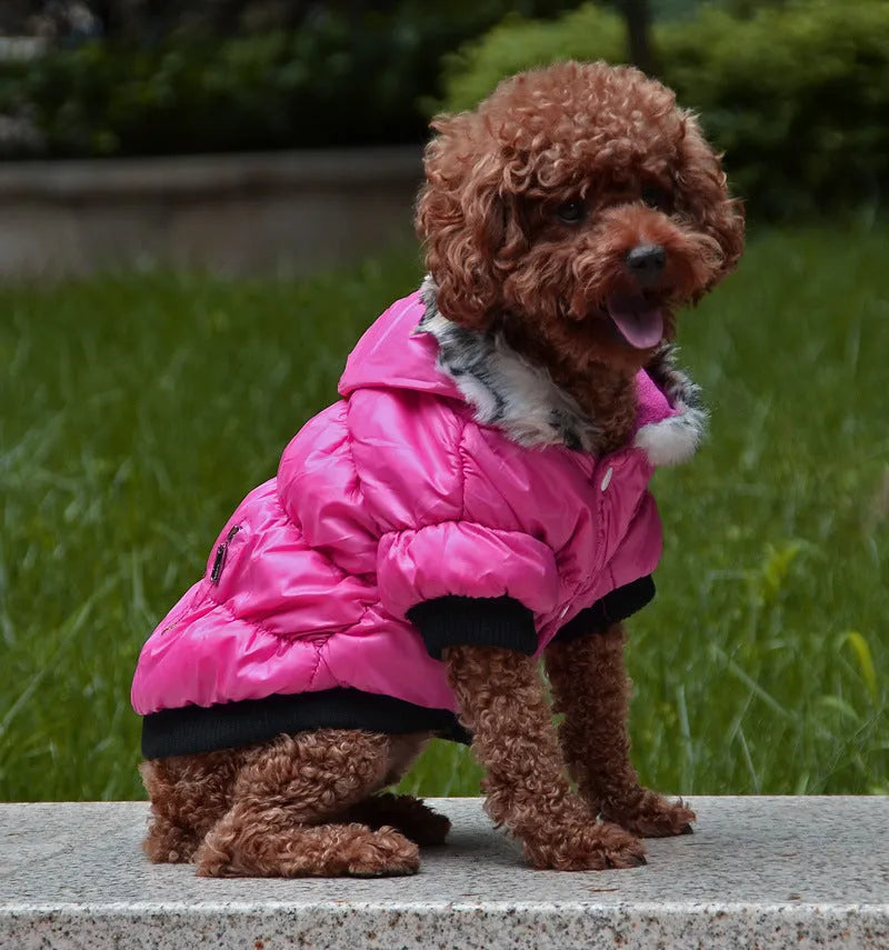 Zippered cotton padded pet clothes in polyester, shown in multiple colours and sizes XS to 2XL