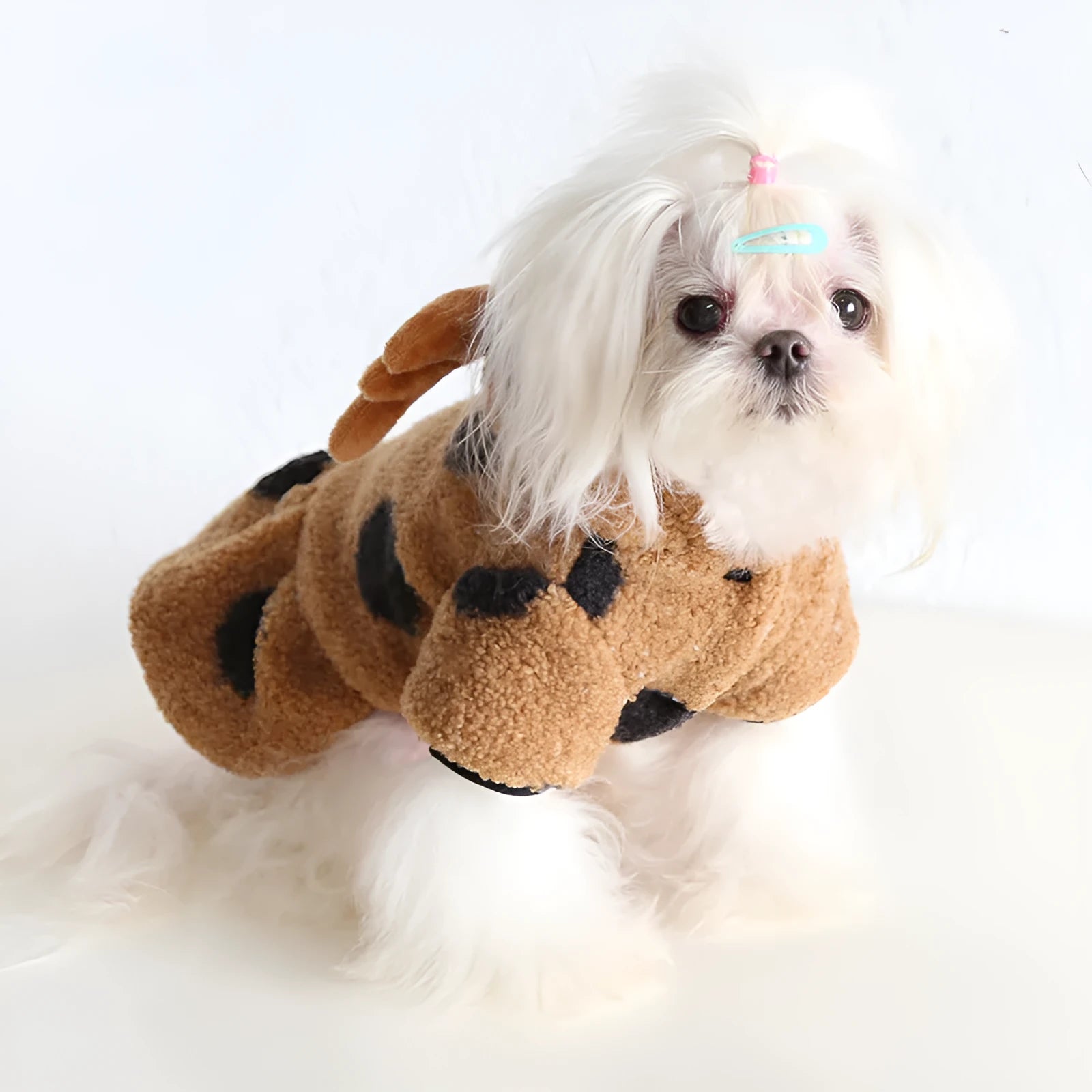 Polka dot pattern pet clothing for dogs and cats in skirt and four-legged styles