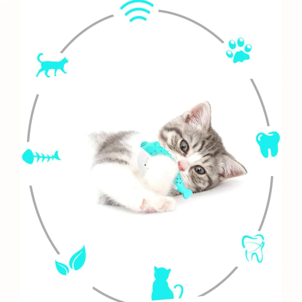 Silicone fish-shaped cat chew toy with toothbrush cleaner design in assorted colours