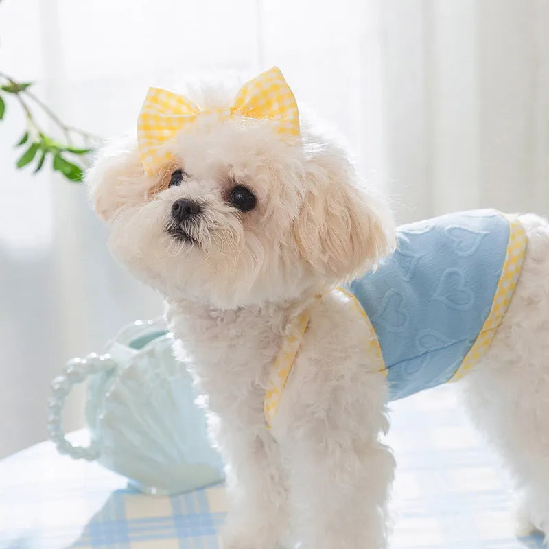 Small dog wearing a blue elastic vest with a heart texture and bow suspenders, with a matching hairband.