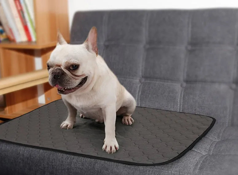 Reusable dog urine pad in gray with non-slip TPU waterproof bottom, size L (100x67cm)