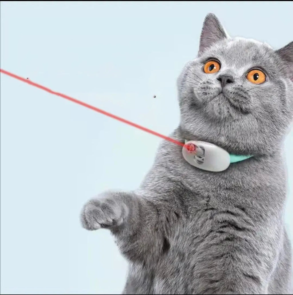 Automatic cat teaser with infrared laser light and collarpiece in monochrome design