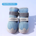 Cartoon-style blue and green dog shoes with breathable PU material and wear-resistant soles on a summer pavement.