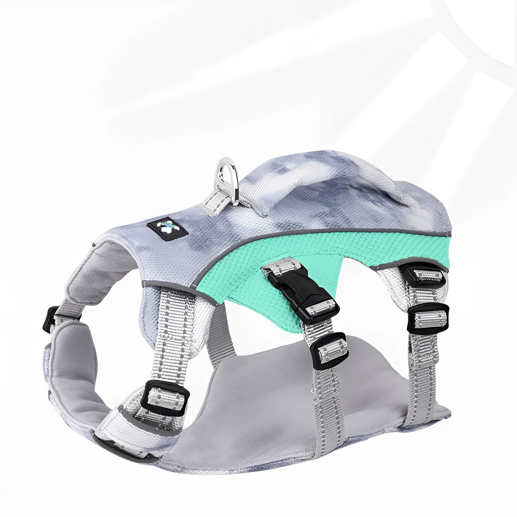 Reflective fluorescent dog harness chest strap in light blue colour, adjustable.
