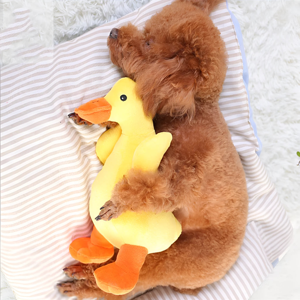 Huayuan Pet yellow plush dog vocal toy with innocent eyes and chubby body for companionship