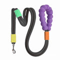 Nylon dog traction leash with foam handle showing colour options