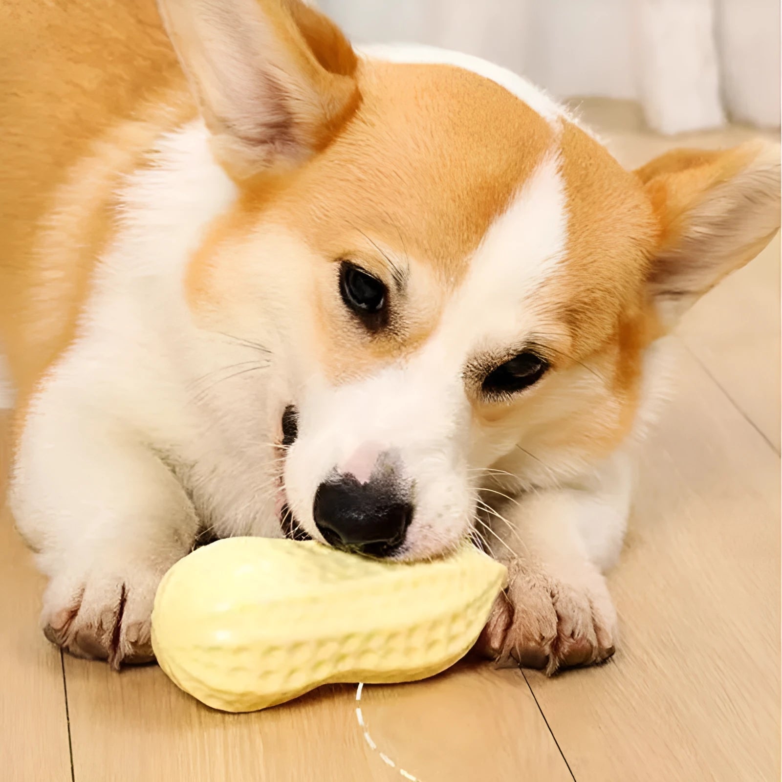 Yellow squeaky peanut-shaped dog chew toy made of durable TPR rubber.