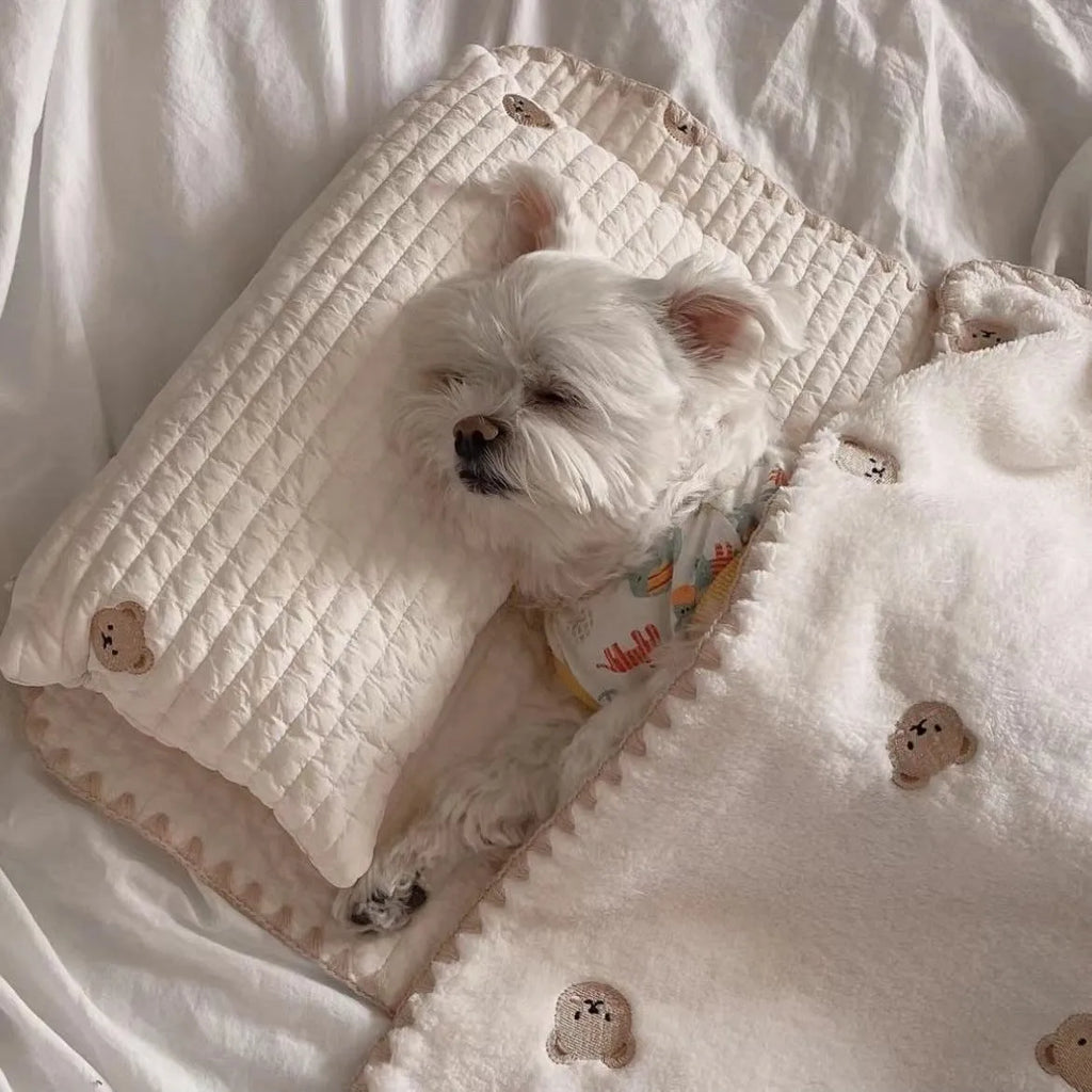 Simple Bear design dog bed set with pillow, mattress, and washable comforter in fashion square mat style