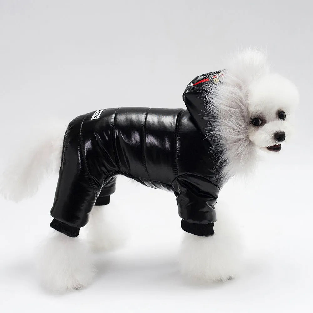 PU leather dog coat for teddy dogs in red colour, European American style, lying on a light surface