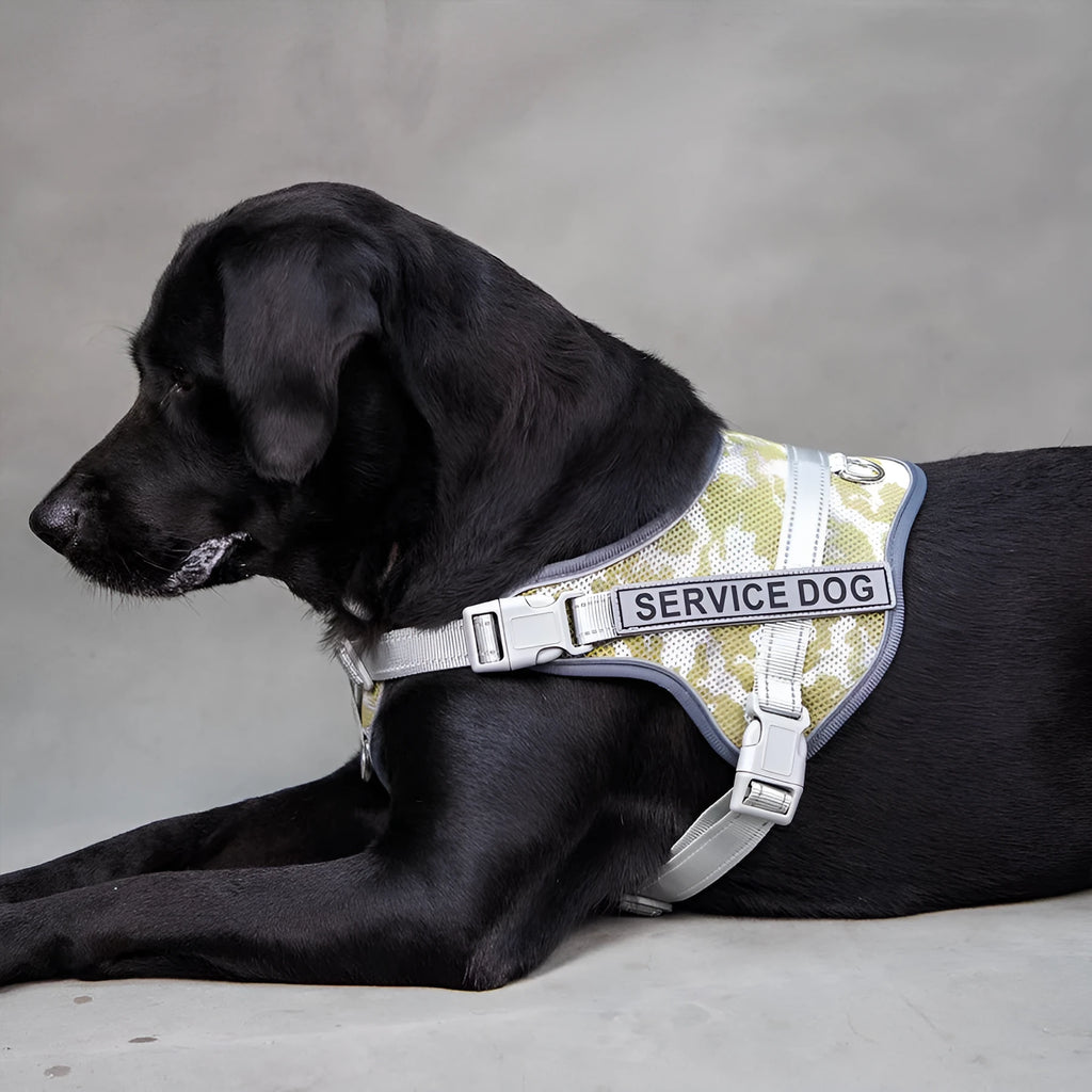 Colourful reflective pet harness with anti-strangulation design in camouflage pattern