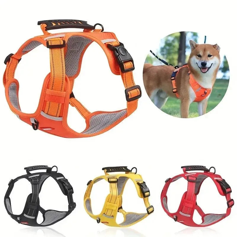 A Lake Blue coloured dog harness and lead set showing the Y-shaped front and adjustable straps on a model.