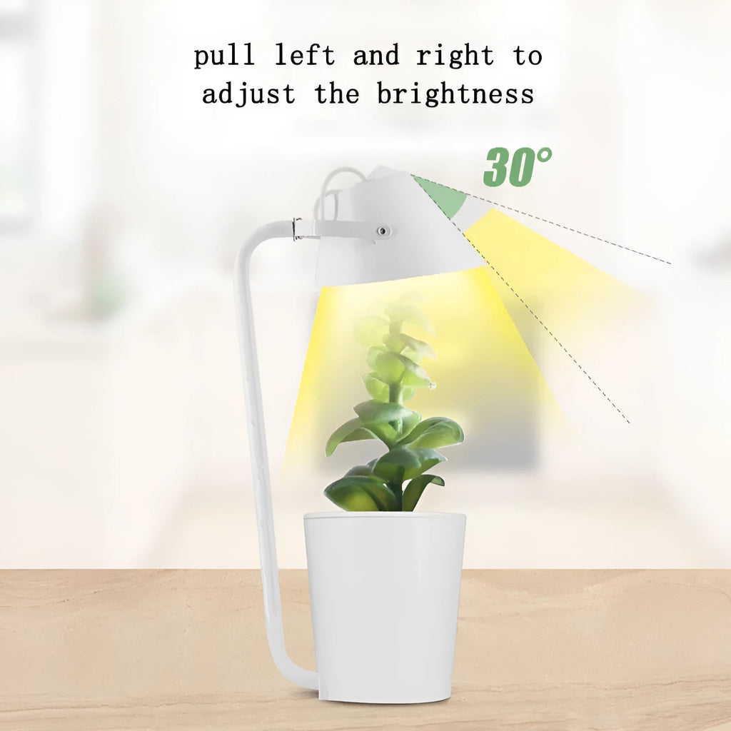 White plastic desktop hydroponic plant growth container for soilless cultivation.