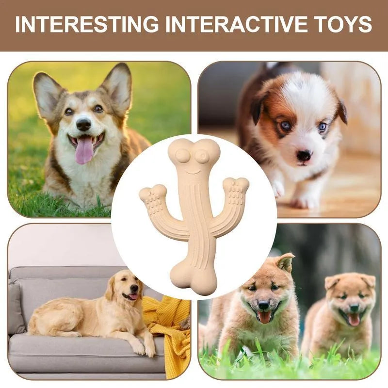Cactus-shaped dog chew toy in bamboo fibre and rubber construction showing size comparison