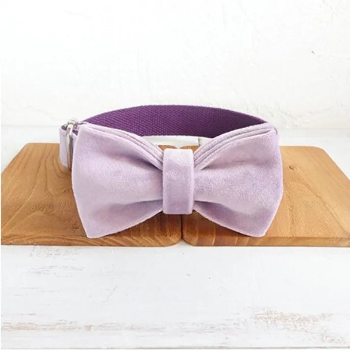 MUTTCO light purple thick velvet drawstring traction belt set for dogs with collar leash and tie on white background