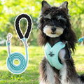 Pink polyester dog harness and bungee rope lead set shown on a size chart.