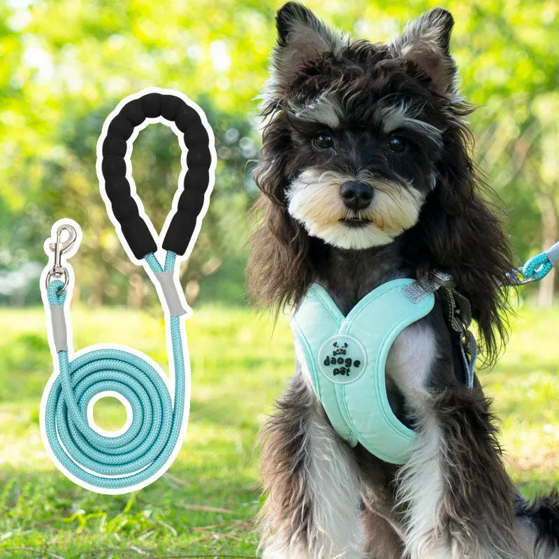 Pink polyester dog harness and bungee rope lead set shown on a size chart.