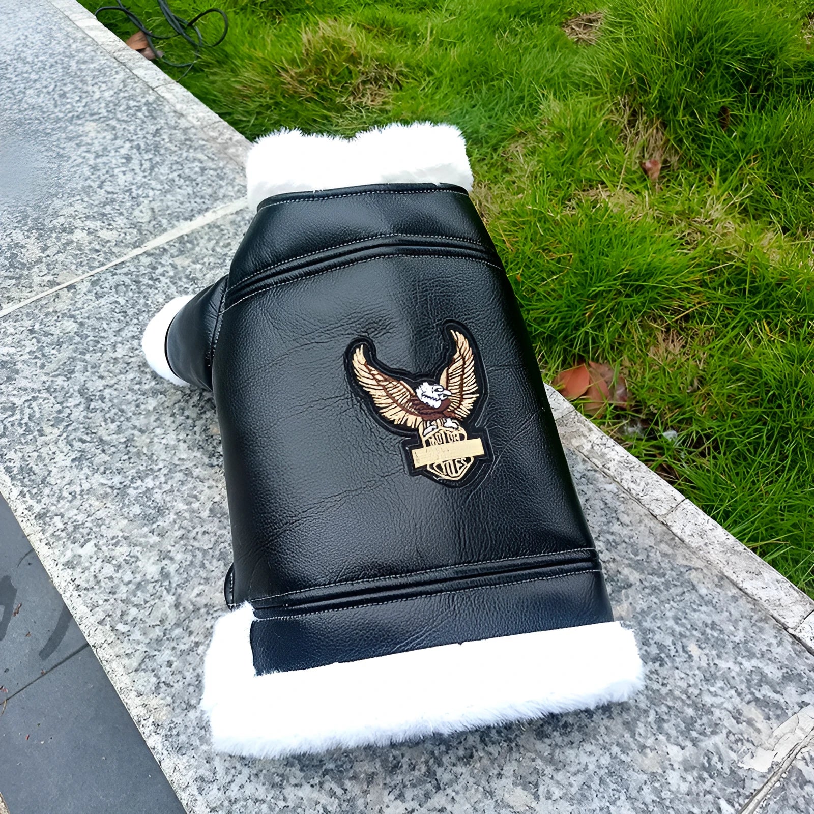 Black and brown leather jacket and vest for small dogs or cats in autumn and winter.
