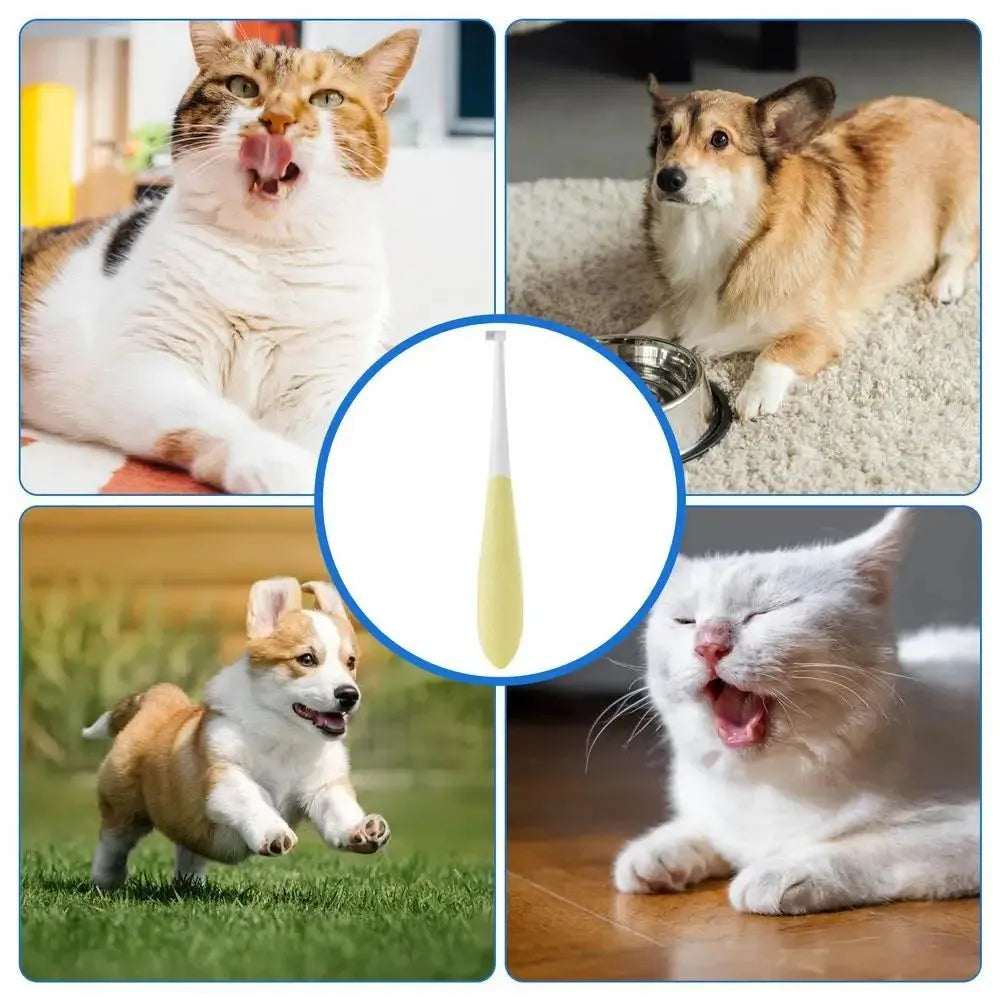 Cat toothbrush with anti-slip handle, 15cm, for kittens and small dogs, in blue or yellow with flat or pointed head