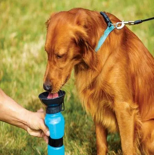 Portable pet water bottle drinker in blue for dogs and cats, 21.5 x 10.7 x 10.7 cm, PP and PE, anti-spill outdoor kettle