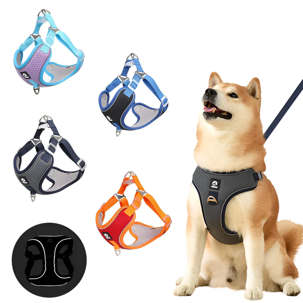 Adjustable dog harness with breathable mesh and reflective piping in black red grey light purple colours