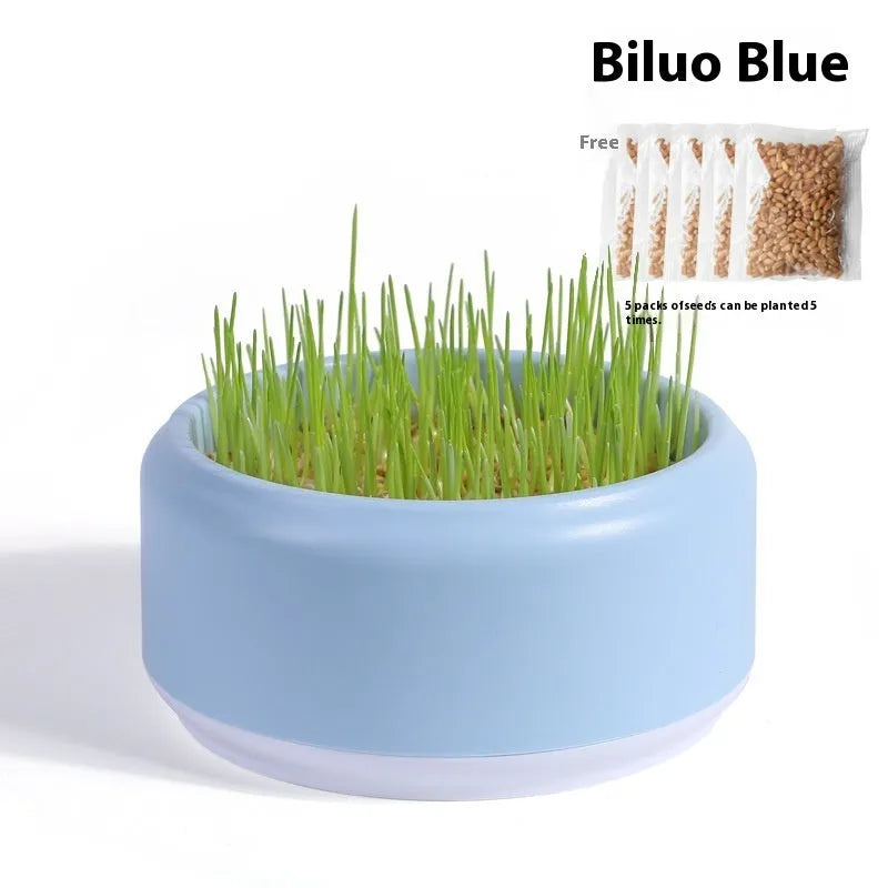 Blue, green, and yellow hydroponic cat grass planters with seed packs on a white background.