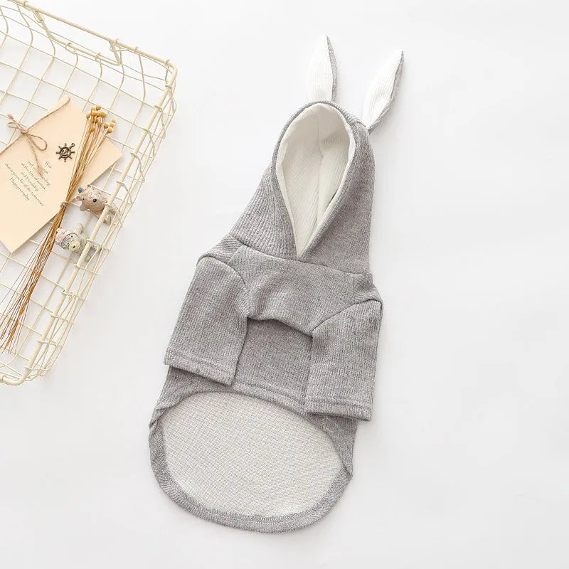 Small dog knitted sweater in grey wool with rabbit ears costume showing top view