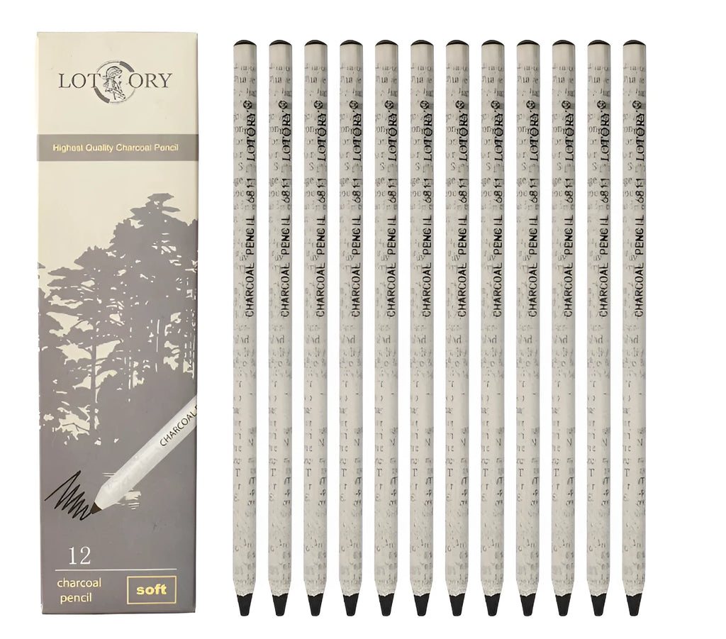 Boxed set of professional charcoal pencils for children's art with multiple hardness grades from 2H to EE