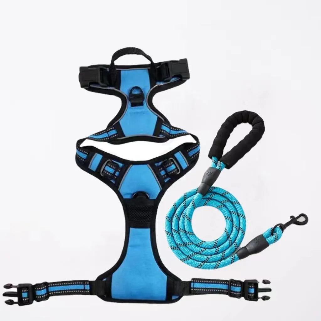 Nylon dog rope lead with chest and back control in multiple colours and sizes for pet walking and training