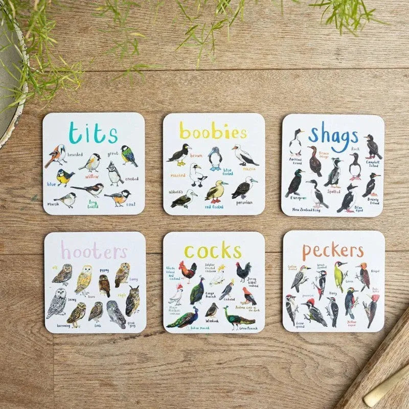 Set of 6 square bird pun coasters with PVC material, each featuring a different bird chart, 10x10x0.35 cm