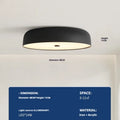 Italian modern minimalist bedroom ceiling lamp with tricolor light remote control in black small size alloy acrylic