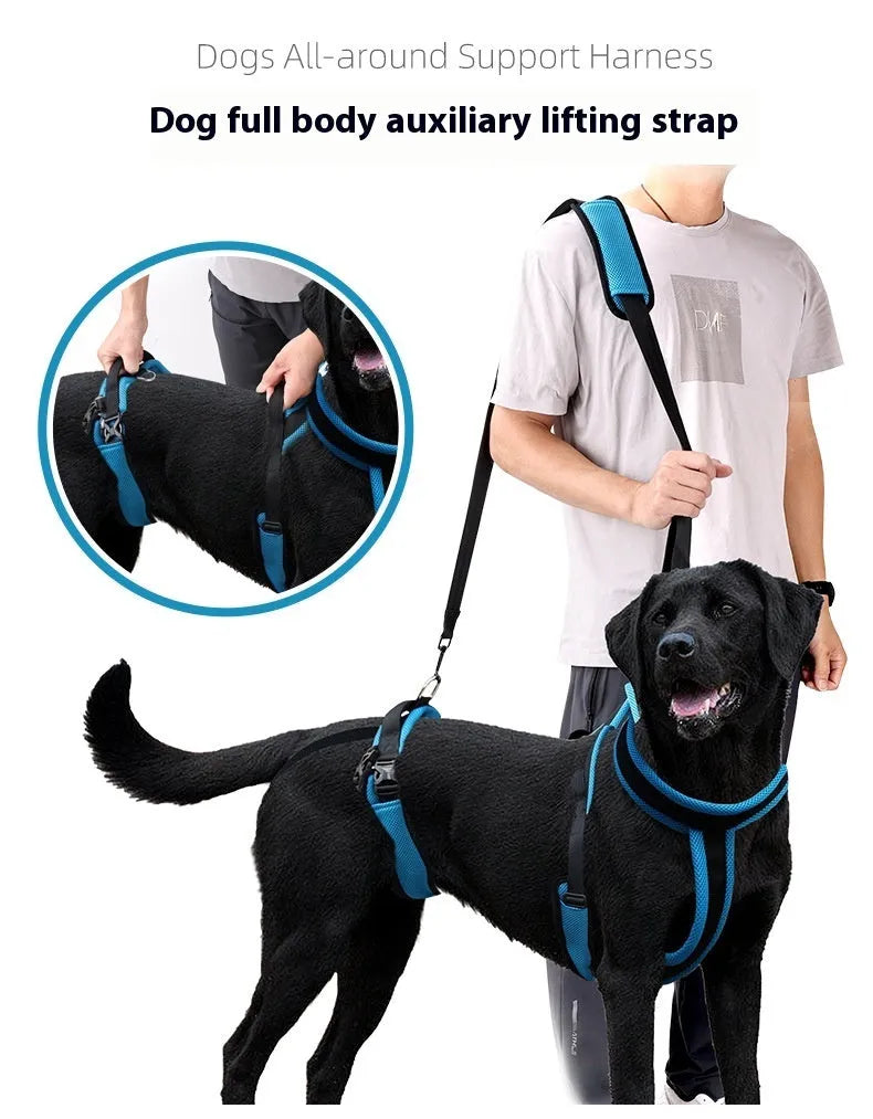 Blue polyester dog auxiliary strap hand held rope for walking training pet supplies