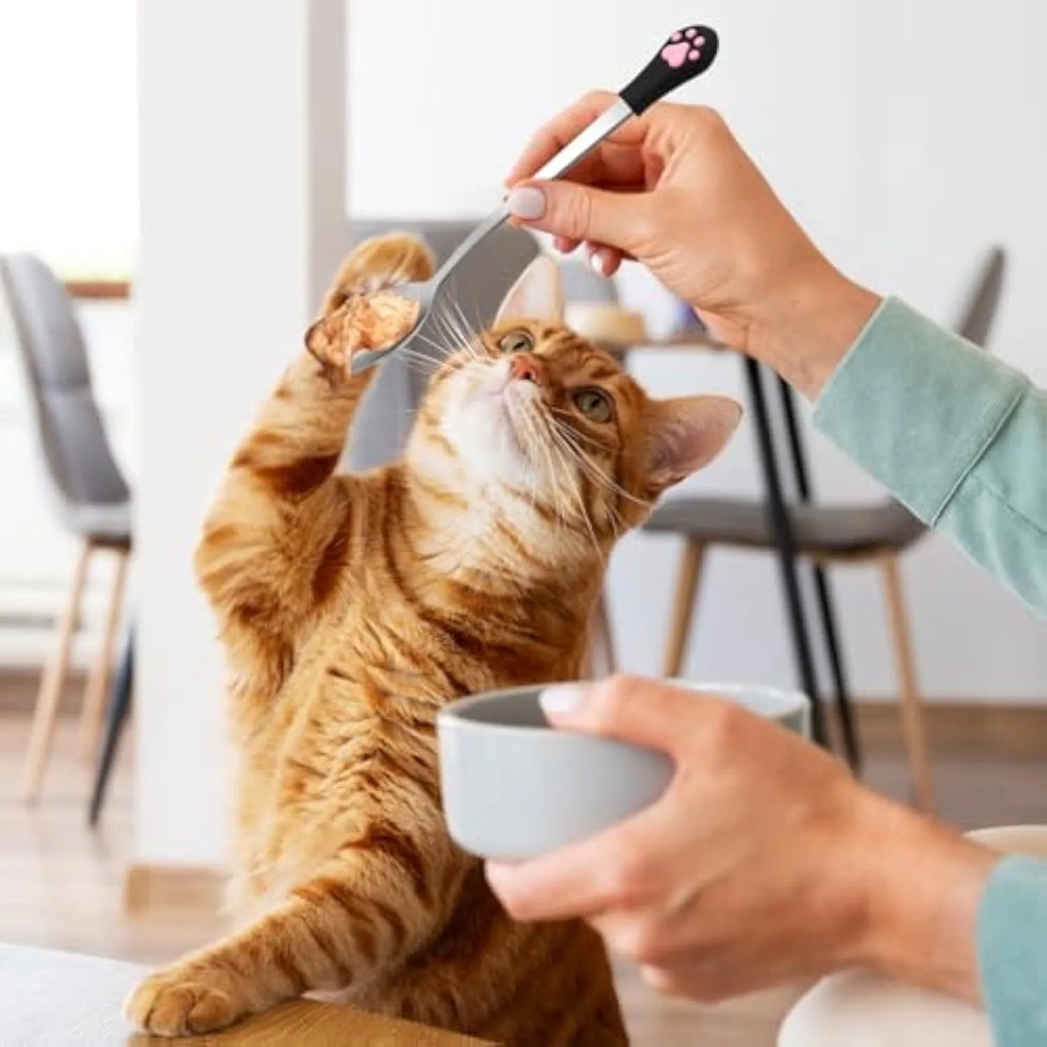 White and black stainless steel pet food spoons with cat paw print design and silicone handles.
