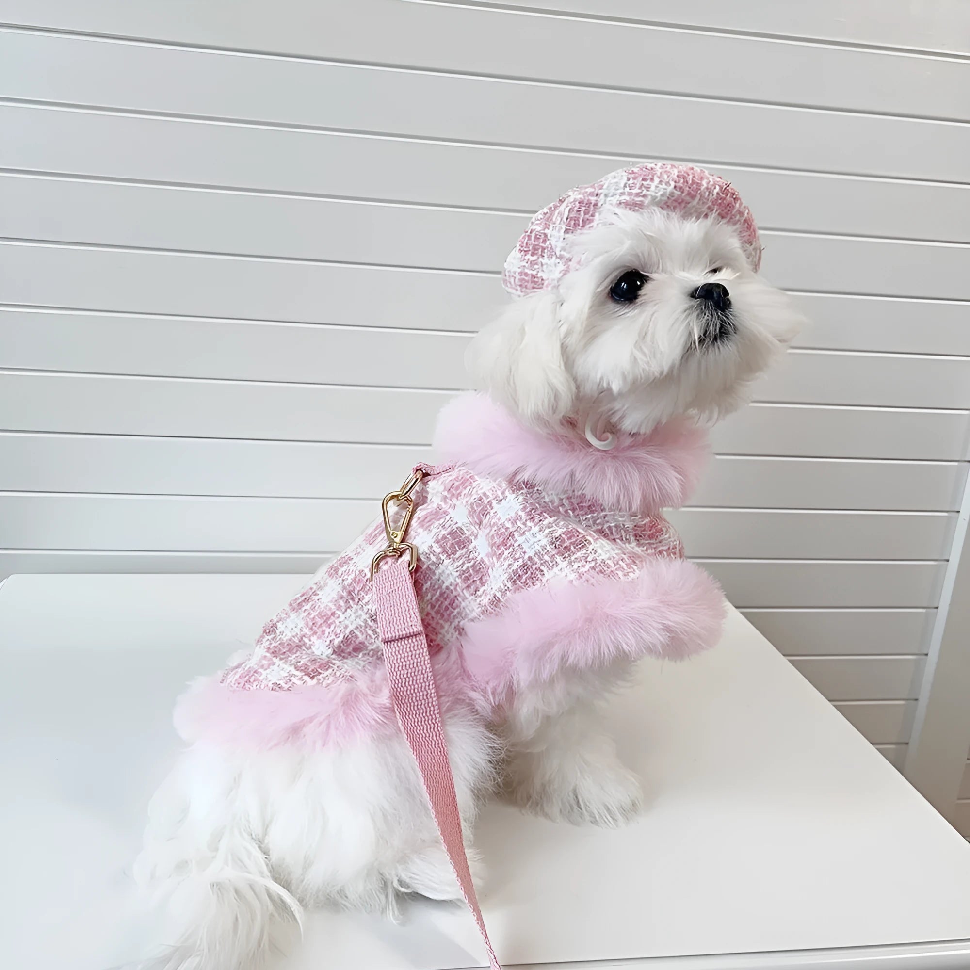 Pink cat costume cloak with matching beret and hand-held rope for female feline dress-up