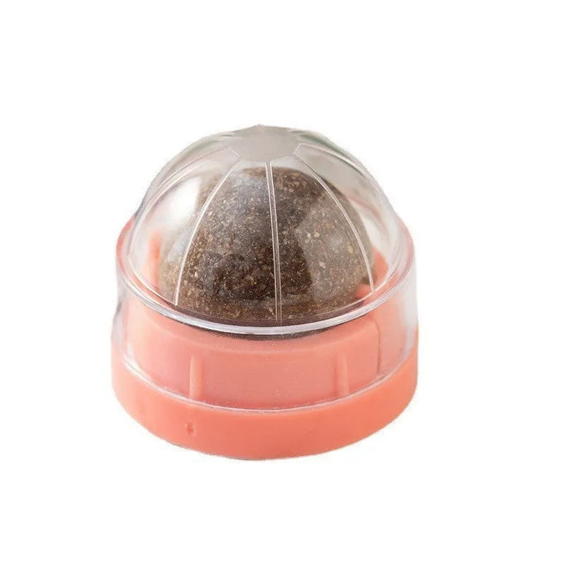 Plastic catnip ball toy for dental care in various colours with textured chewing surface