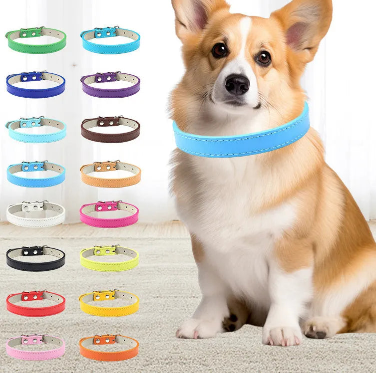 Small and medium dog collar in black PU leather with adjustable buckle, monochrome design