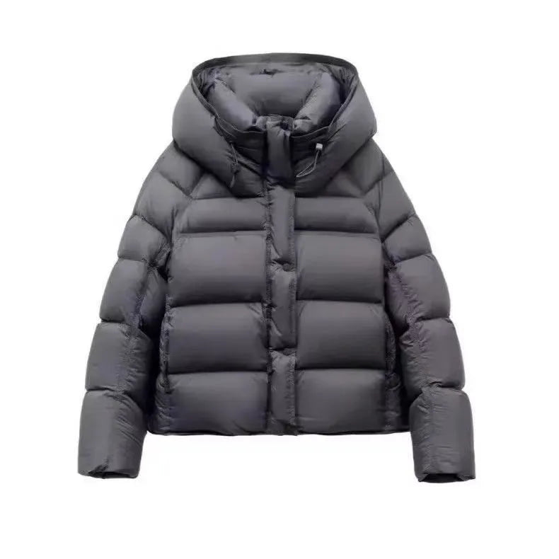 Women's puff down cotton jacket in black, beige, coffee, gray or purple, slim fit, long sleeve, sizes M to 2XL