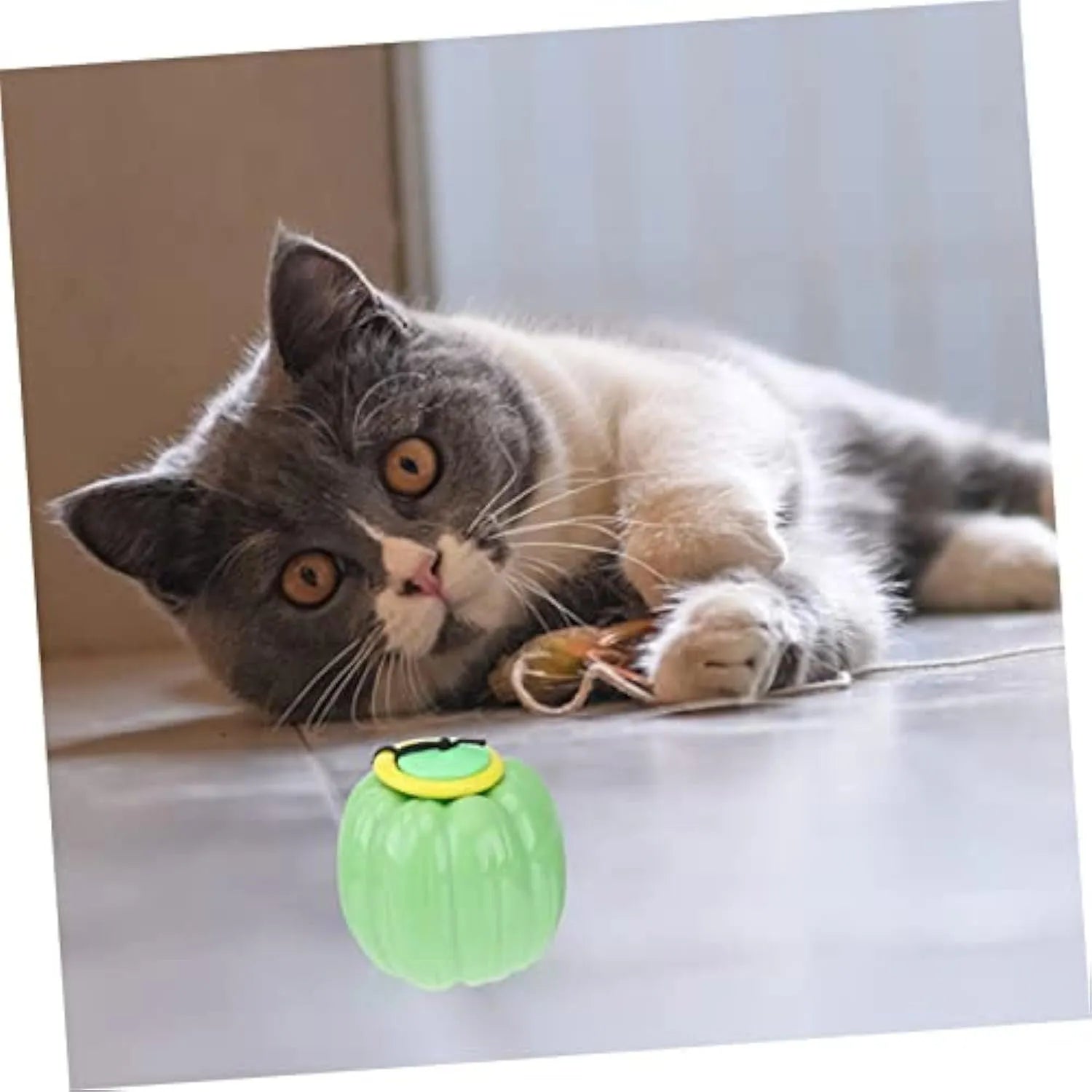 Orange plastic pumpkin-shaped dog toy with squeaker for small dogs on a green background.