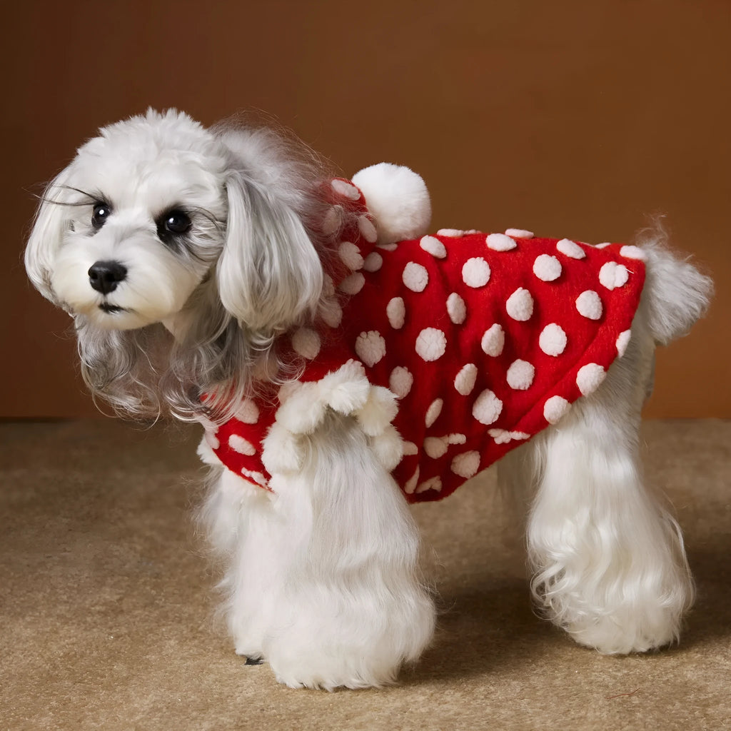 Red polka dot sleeveless hooded dog vest coat on a pet, front view, polyester fabric