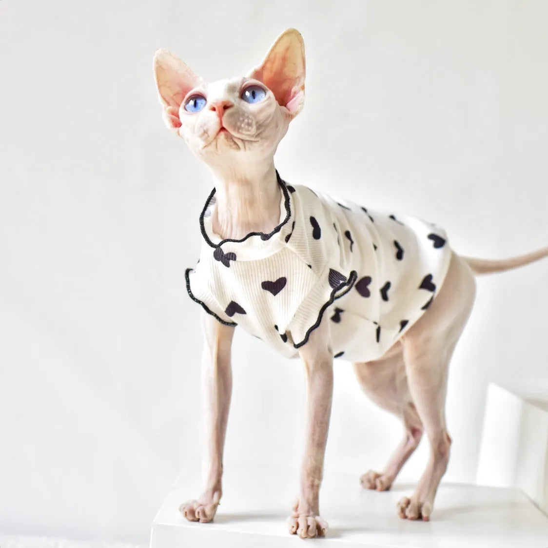 Summer thin sleeveless rubber cat vest in black heart colour on white background, sizes XS to XXL available
